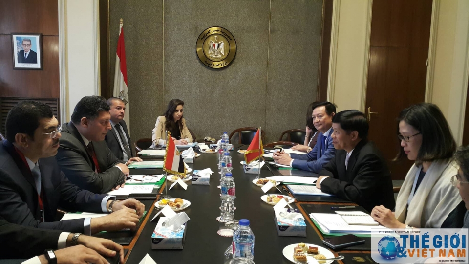 egypt wants to develop ties with vietnam