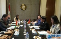egypt vietnam exploring new paths for cooperation