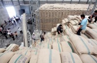 philippines to import 250000 tonnes of rice from vietnam or thailand