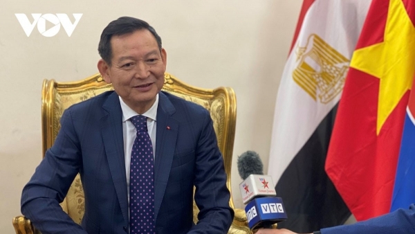 Viet Nam maintains diplomatic aspirations in Middle East: Ambassador
