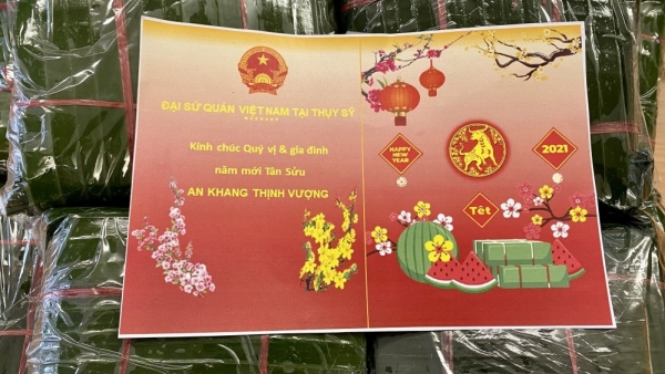 Vietnamese across the world celebrate traditional Lunar New Year