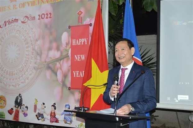 Vietnamese Ambassdor to Egypt Tran Thanh Cong speaks at the get-together. (Photo: VNA)