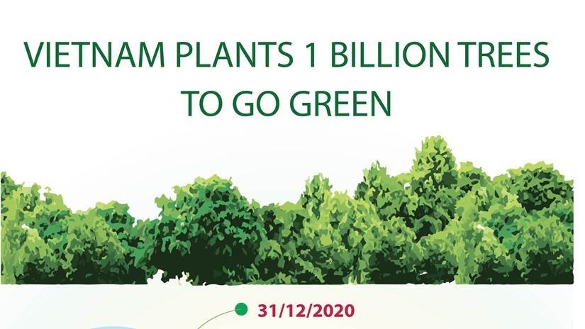 Viet Nam plants 1 billion trees to go green