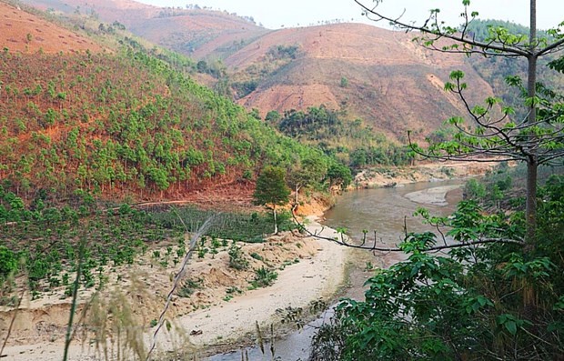 Viet Nam has over 1.2 million hectares of unused land: Ministry