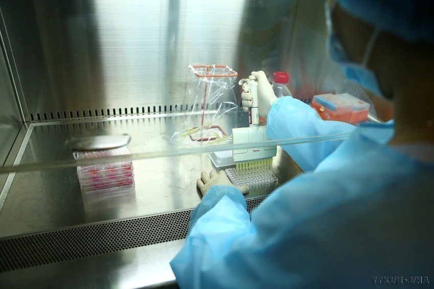 Isolation of viruses by female scientists at the National Institute of Hygiene and Epidemiology. (Photo: VNA)