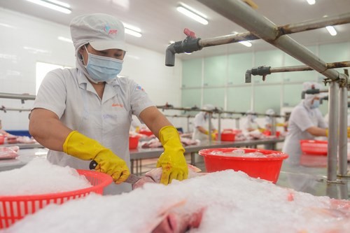 An export-oriented fish processing plant in HCM City.  Vietnamese businesses face numerous challenges, residual from COVID and the ongoing Russia-Ukraine conflict.  (Photo: nld.com.vn)