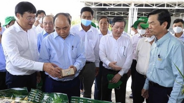 President asks Dong Thap to step up scientific-technological application in collective economy
