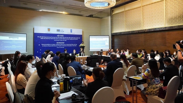 Viet Nam needs national action plan to promote responsible business practices: workshop