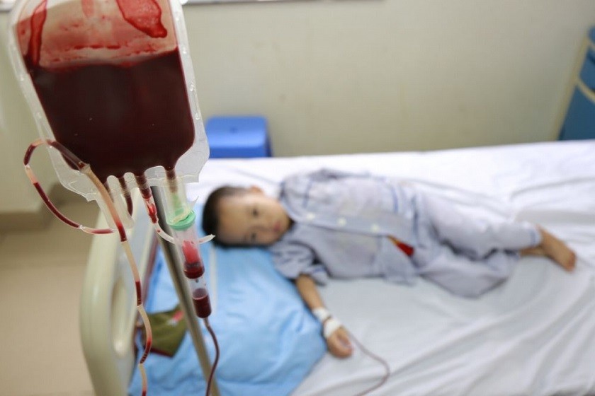 14 million Vietnamese people carry Thalassemia gene