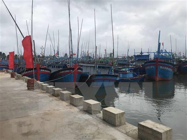 The second-class Tam Quan Fishing Port in Binh Dinh. (Photo: VNA)