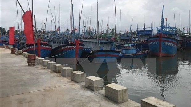 Vietnam to have total 184 fishing ports by 2050: draft plan