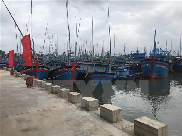 The second-class Tam Quan Fishing Port in Binh Dinh. (Photo: VNA) The second-class Tam Quan Fishing Port in Binh Dinh. (Photo: VNA)