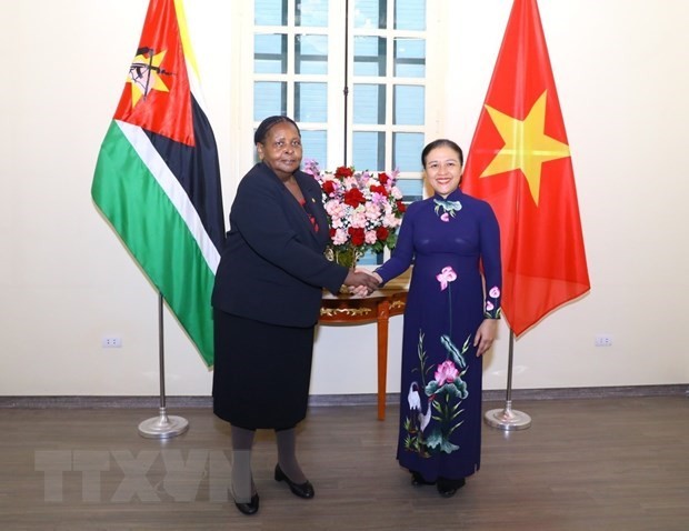 Vietnam, Mozambique to maximise strengths to deepen friendship: VUFO President