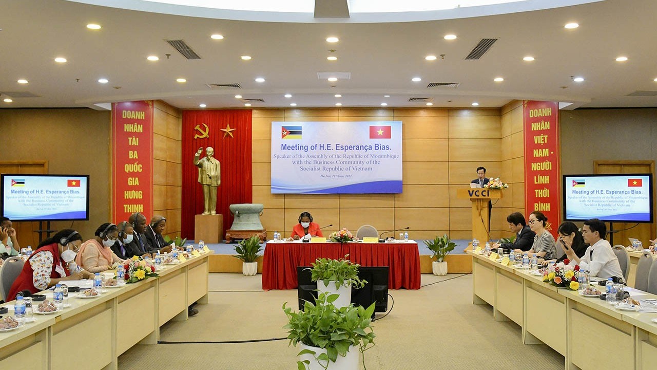 Mozambique will be gateway for Vietnamese businesses to penetrate into South Africa