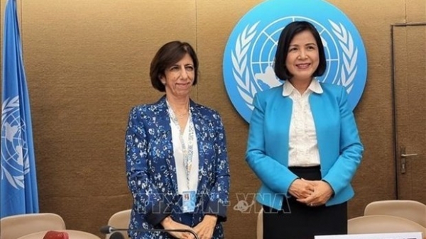Viet Nam elected as vice chair of UNCTAD intergovernmental expert group’s meeting