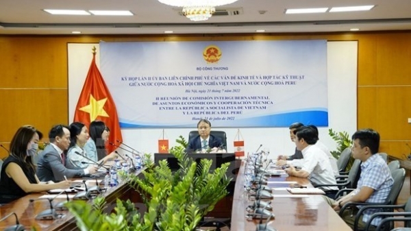 Vietnam ready to beef up economic ties with Peru: Deputy Minister