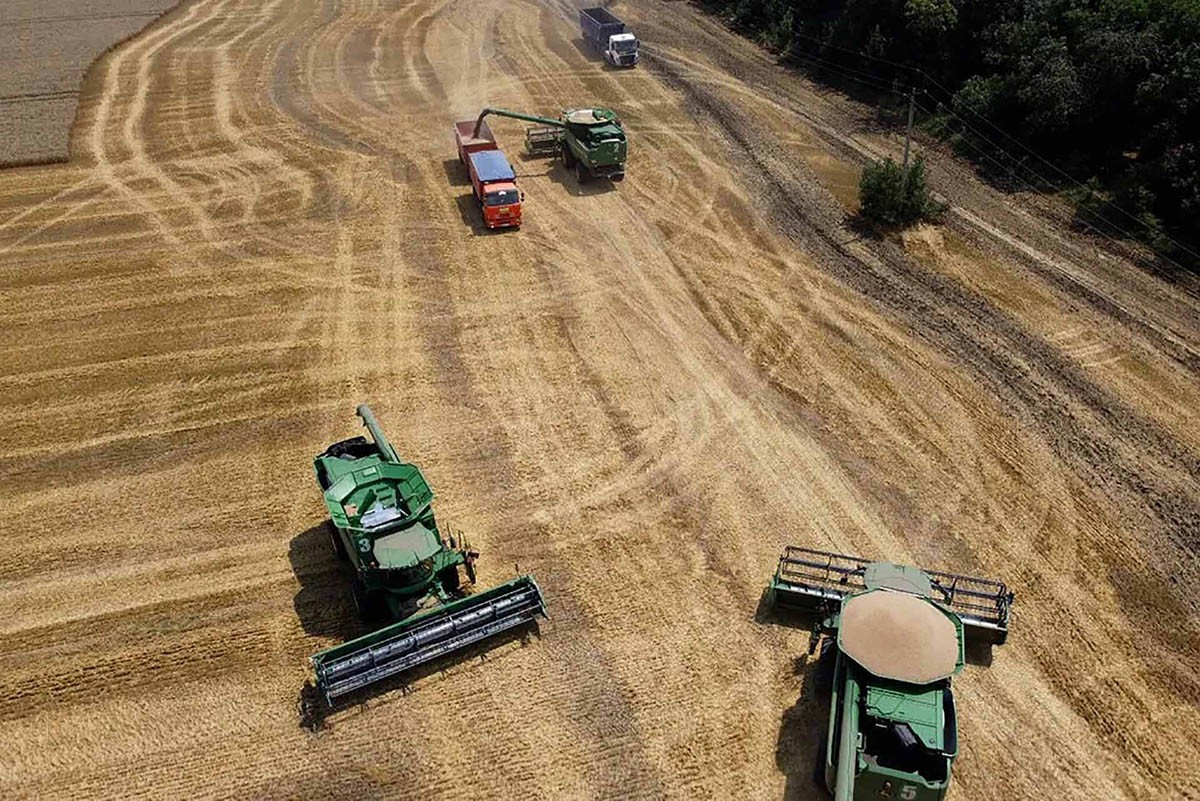 World 'rice bowl' Southeast Asia to face global food insecurity World 'rice bowl' Southeast Asia to face global food insecurity