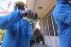 COVID-19: Deputy PM orders strictly handling violations of control regulations