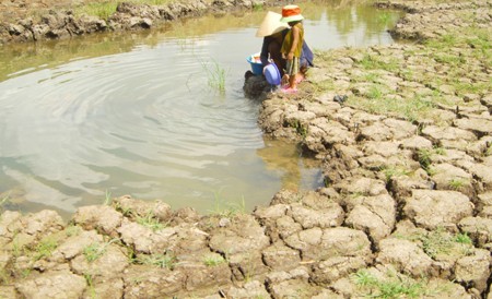 About 5% of land area in the Mekong Delta region may vanish due to climate change. (Source: VNA)