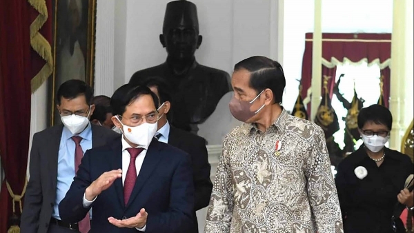 Indonesia and Vietnam relations: True partners for development