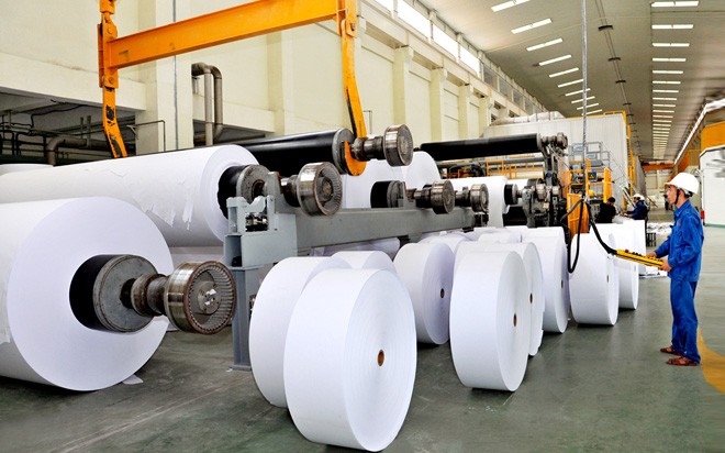 Paper industry expects to maintain high growth momentum until 2025