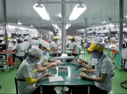 Vietnam’s GDP to grow 2 – 3 percent this year: former GSO director
