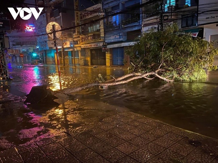 Big tree was brought down by strong wind in Da Nang