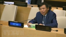 Vietnam, Indonesia call for comprehensive approach to issues in Mali