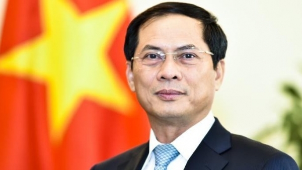 Minister: Viet Nam’s re-election at ILC proves international community’s trust