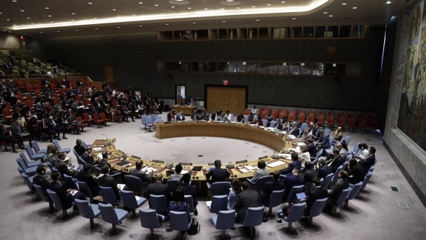 Viet Nam leaves strong imprints as active, effective member at UNSC