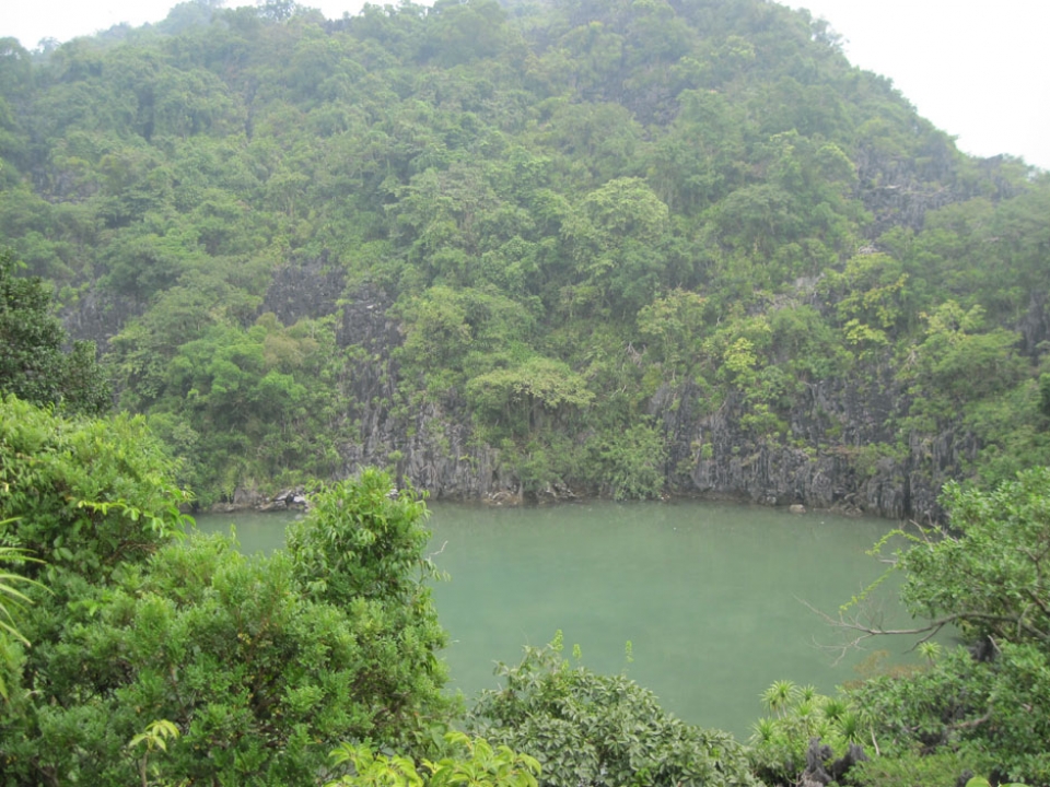 Quang Ninh emerges as Vietnam’s new hub for forest and sustainable tourism