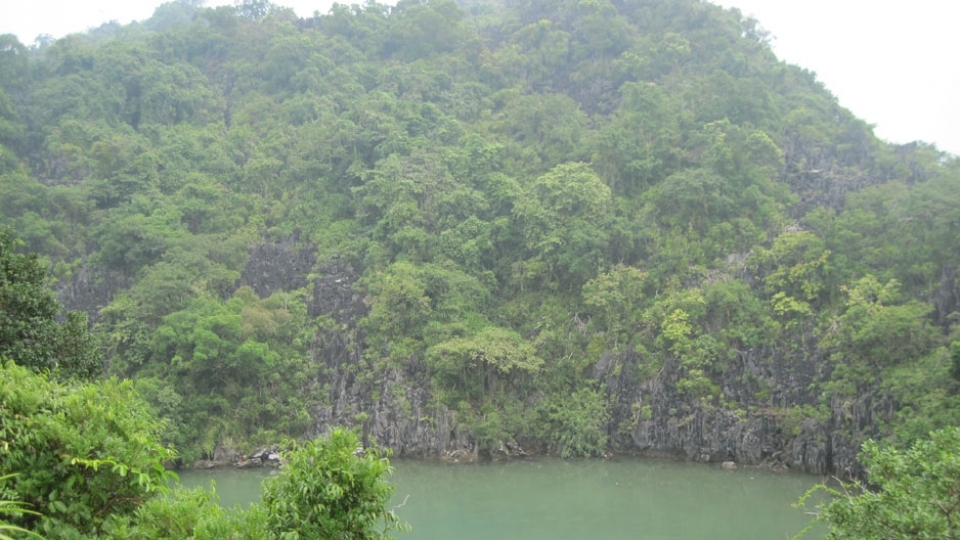 Quang Ninh emerges as Vietnam’s new hub for forest and sustainable tourism