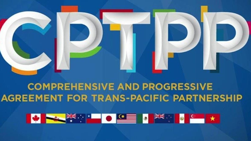 Vietnam’s exports to CPTPP countries up 38.7%