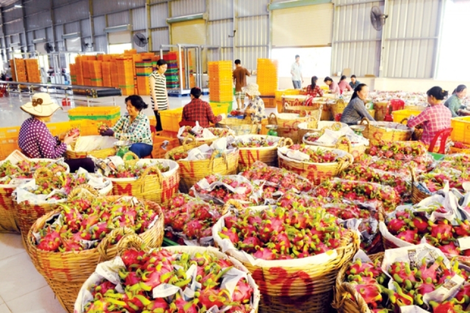 vietnam seeks to accelerate agricultural restructuring