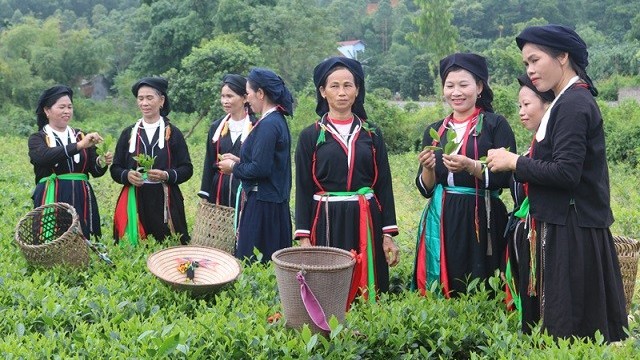 Thai Nguyen ethnic minorities get supports to develop economy and improve their lives