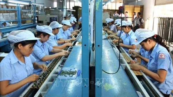 Newly-established, re-operating enterprises up over 33% in 11 months