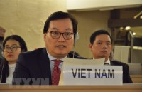 vietnam spares no efforts to protect promote human rights deputy pm