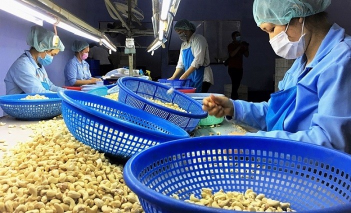Ho Chi Minh City’s food processing sector to tap favourable conditions