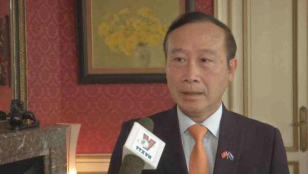 EVFTA - A catalyst for Vietnamese businesses: Ambassador