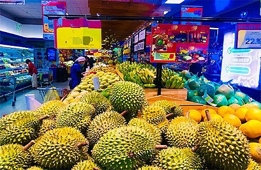 Expectations for Vietnam's vegetable and fruit export growth