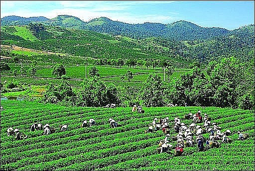 Northern midland and mountainous region: Towards a vision of sustainable development