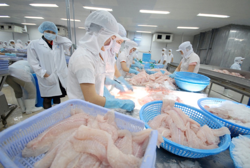 Mexico rises to be Vietnam's 3rd largest tra fish export market