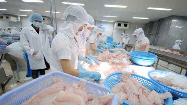 Mexico rises to be Vietnam's 3rd largest tra fish export market