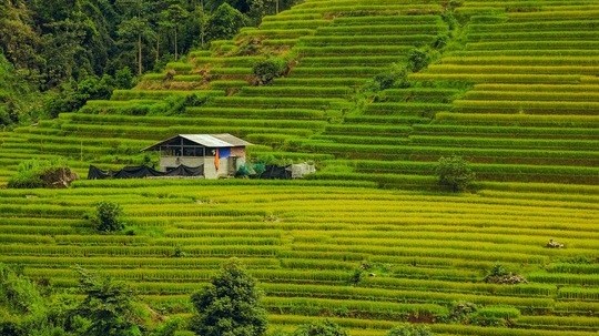 Sweet memories of Nam Cang