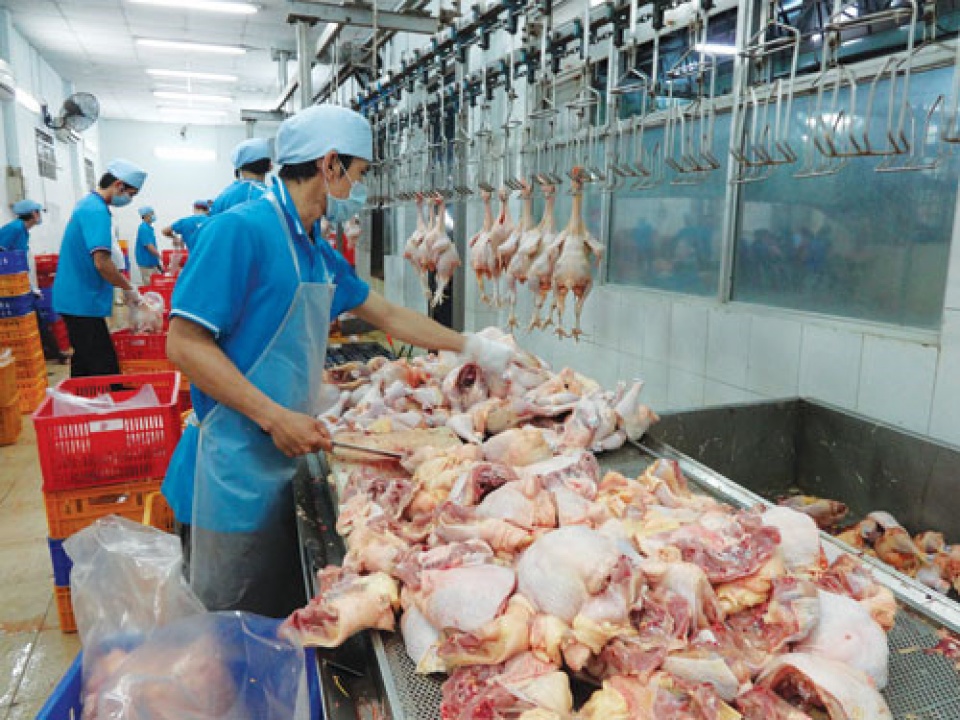 Ministries, agencies, localities urged to curb cross-border poultry smuggling
