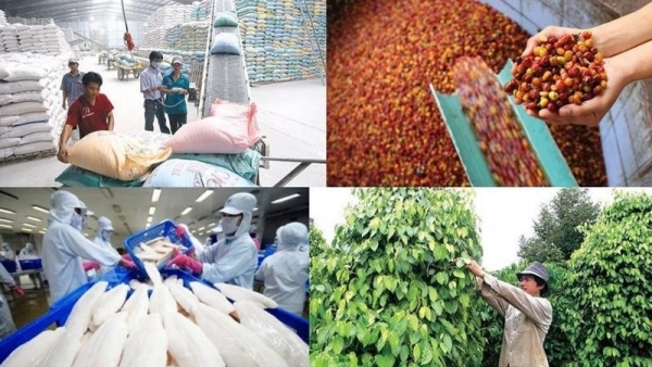 To boost Vietnamese agricultural export to Chinese market