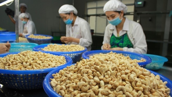 Room for Viet Nam’s exports to Eurasia remains huge