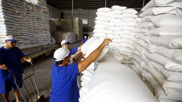 Vietnam's rice export prices reach 15-year high