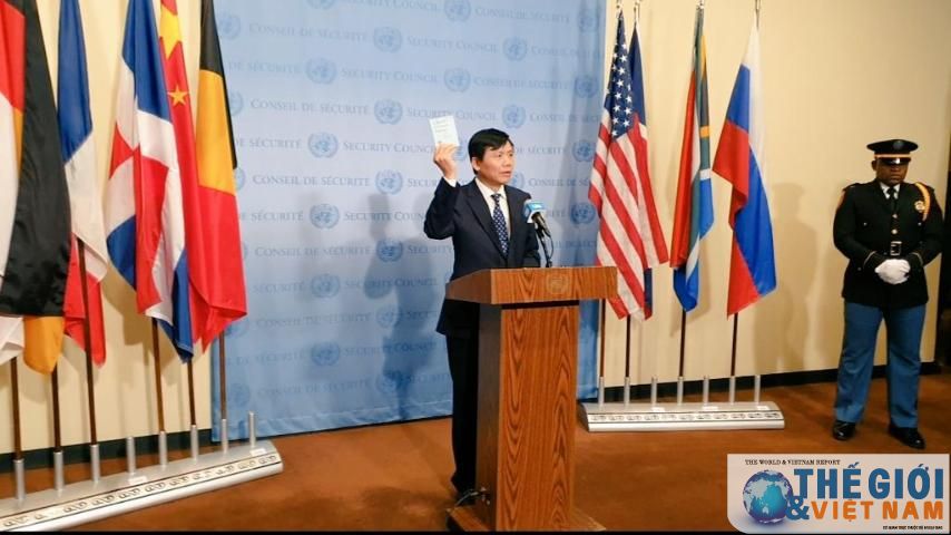 vietnamese ambassador presides over unsc meeting on malis situation