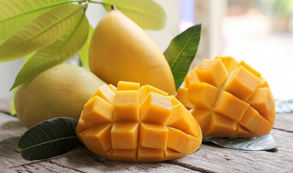 vietnam officially begins mango exports to us